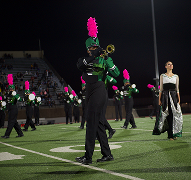 EHS band 